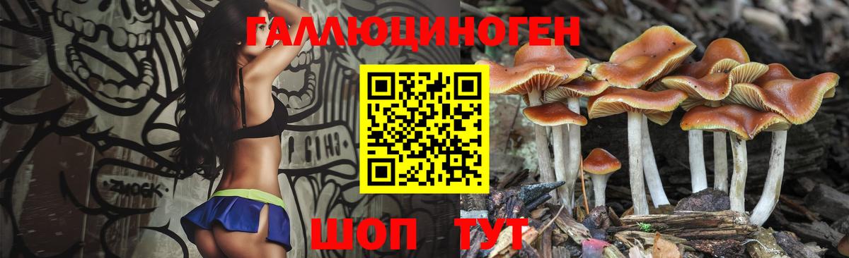 Галлюциногенные грибы Psilocybine cubensis  Вход с VPN  Ефремов 